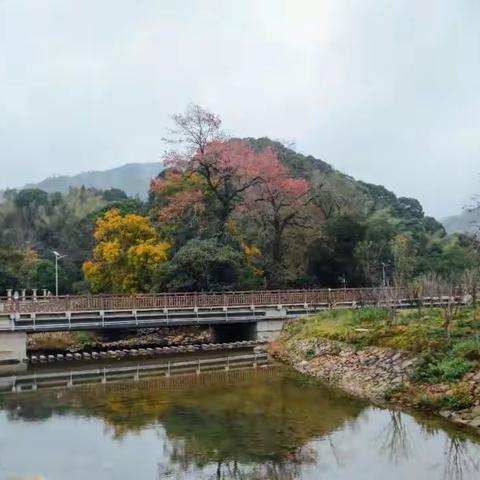 千年林阳寺、灵秀九峰村一日游