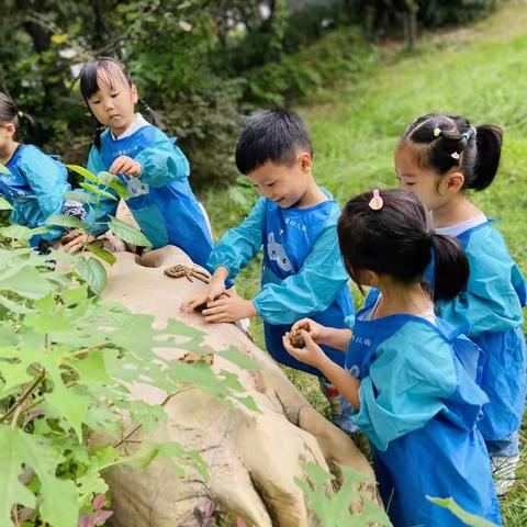 【家园共育 呵护成长】机关幼儿园西城公馆分园2022年秋季卫生保健