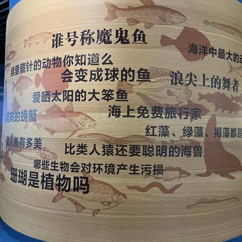 【紫云路小学】探索海底世界的奥秘