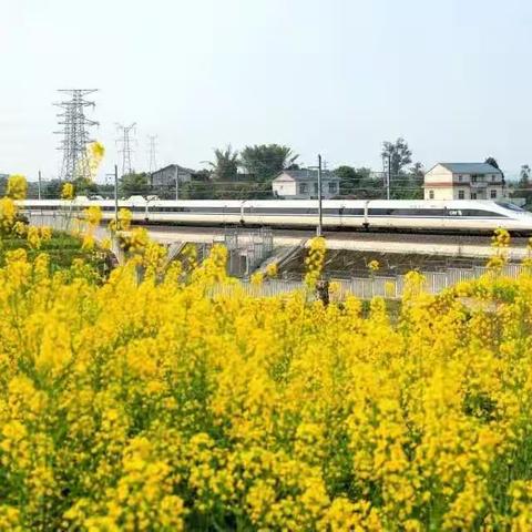 改良土壤及时雨   家教春风正当时——汤阴县教育局迎接河南省教育厅家庭教育评估验收