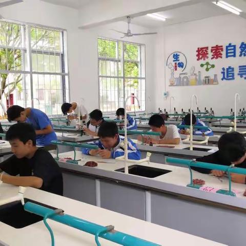 生物实验操作培训会——大余县2021—2022学年下学期城区片初中生物教研活动纪实