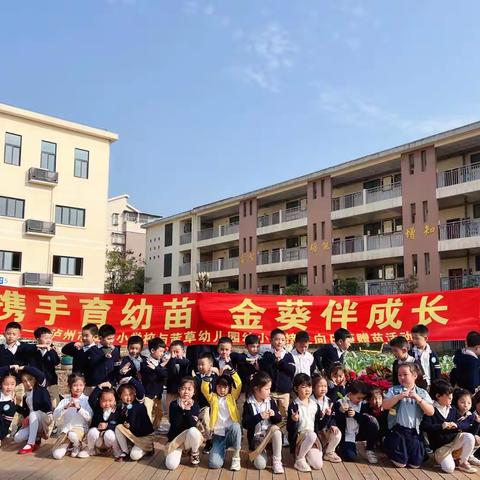 携手育幼苗、金葵伴成长——泸州市江南小学校与茜草幼儿园幼小衔接之向日葵赠苗活动