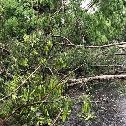 风雨无阻 紧急抢险保畅通