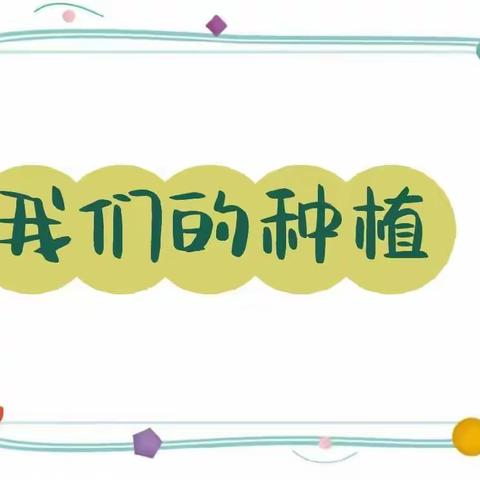 【西阎教育】小小植物有乾坤，种植观察收获大——大字营小学劳动教育之植物种植记