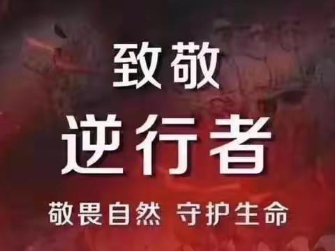 致敬最美的逆行者，长大后我就成了你—孟津县白鹤镇初级中学“抗击疫情，我们在行动”系列主题活动