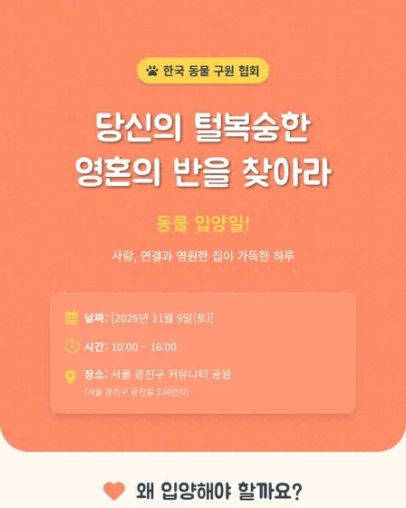 동물 입양일 이벤트 장문 이미지 디자인