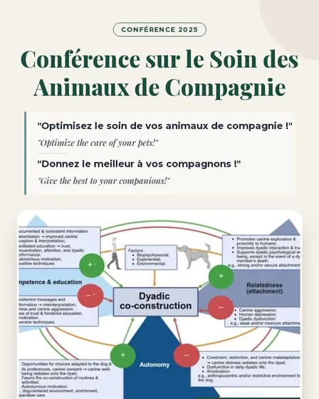 Bilingual A4 Flyer for Pet Care Conference