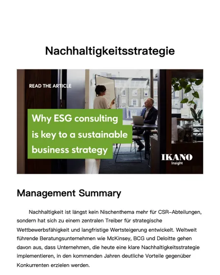 Beratungsdokument: Nachhaltigkeitsstrategie