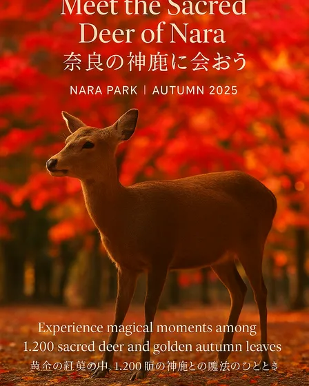 奈良公園秋の鹿ポスター - 2025年版に更新